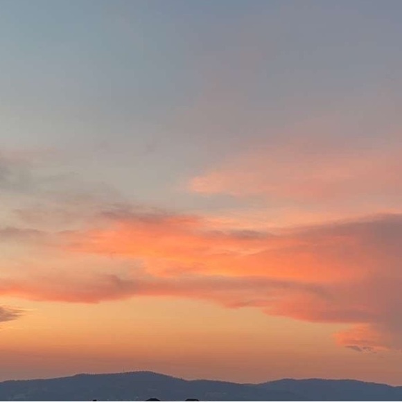 Meet your Posher, Sydney - Picture 1 of 1